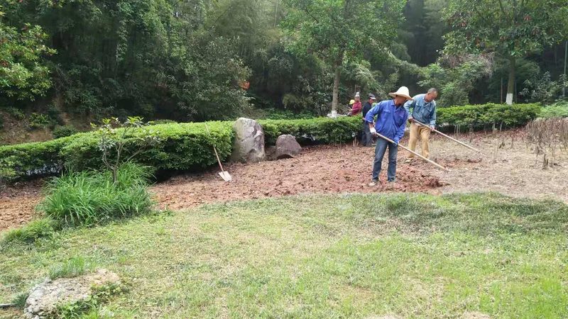 道路绿化养护报价清单：揭秘定价背后的逻辑