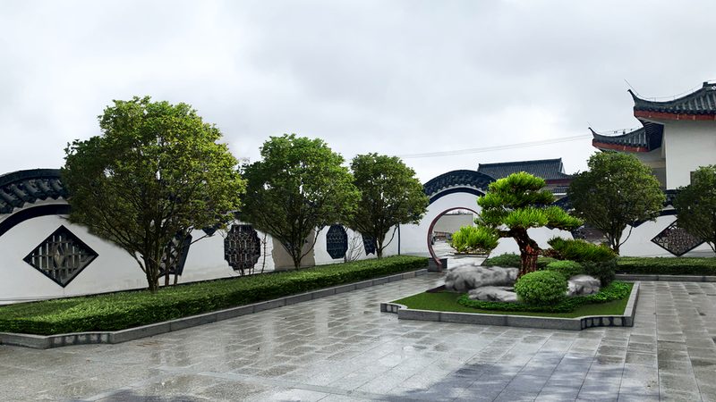 酒店大堂绿植租赁：如何选择专业供应商