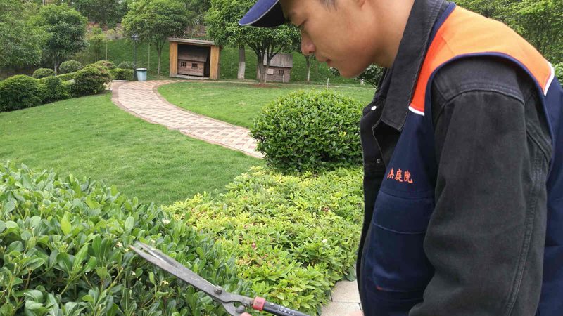 工厂绿化养护定价为何差异大