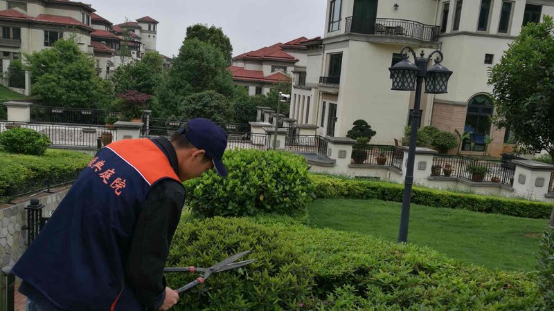 城市快速路绿化设计规范：标准解读与实施要点