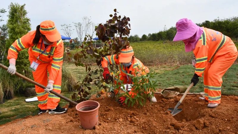 边坡喷播机与客土喷播机：本质区别与应用场景解析