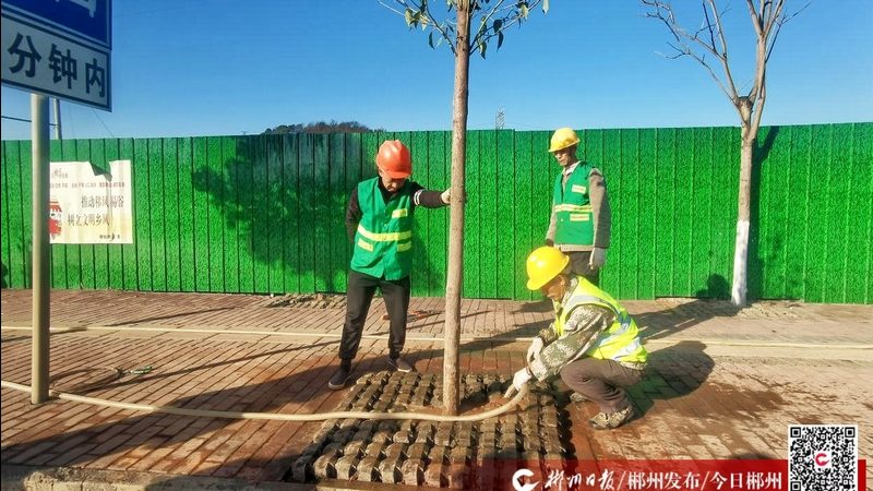 立体绿化技术规范标准DB11：解读与实施要点