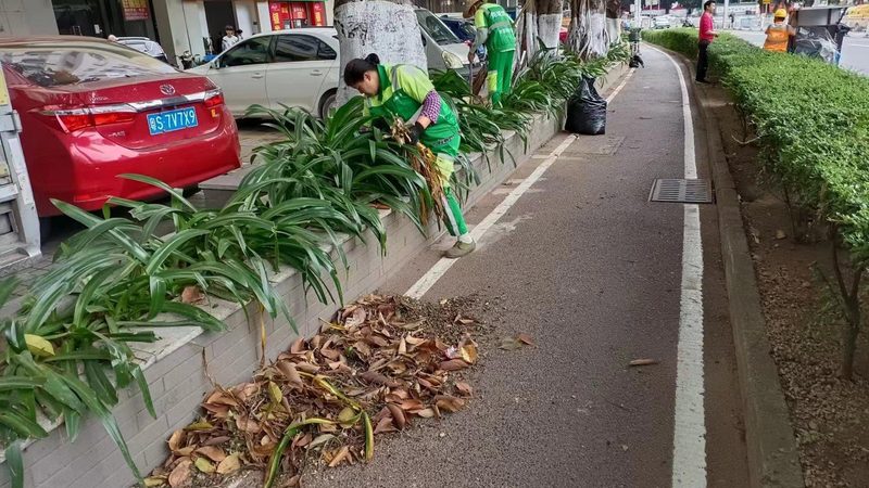 园林绿化养护工证报名流程详解**