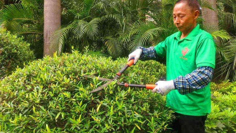 园林绿化监理十大品牌：揭秘行业标杆与选择要点