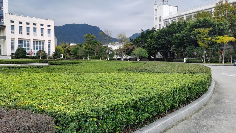 绿化资质挂靠，一场行业信任的博弈
