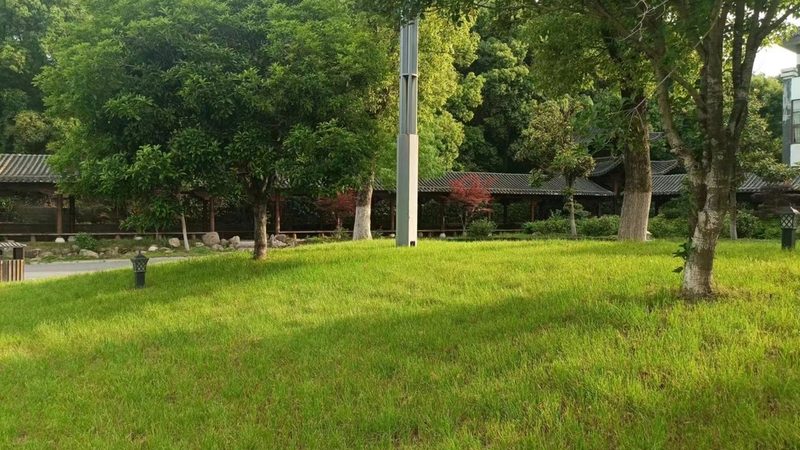 市政园林苗木采购清单范本：如何科学制定**