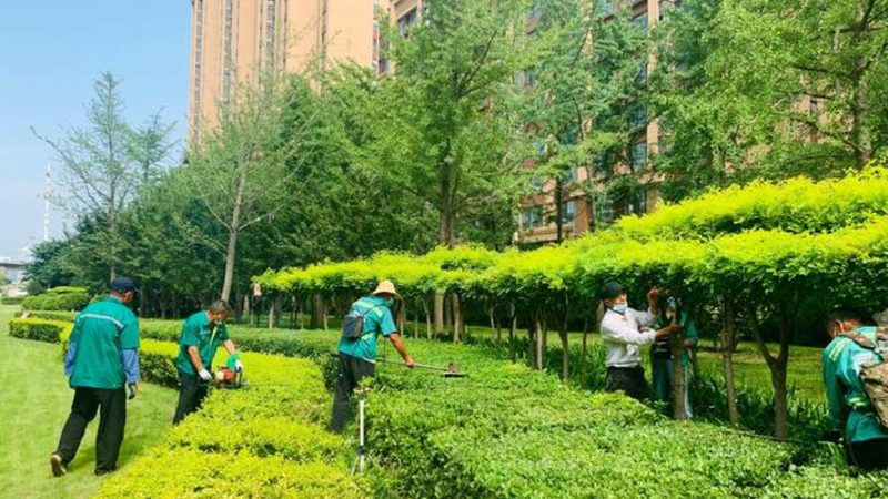 庭院设计公司加盟报价单揭秘：如何规避常见误区