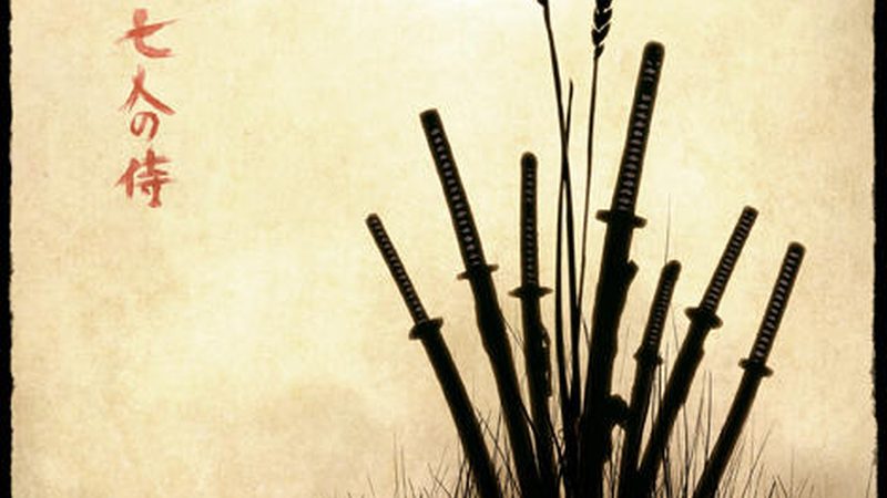 苗木种植：从选址到养护，全方位解析种植方法和步骤**